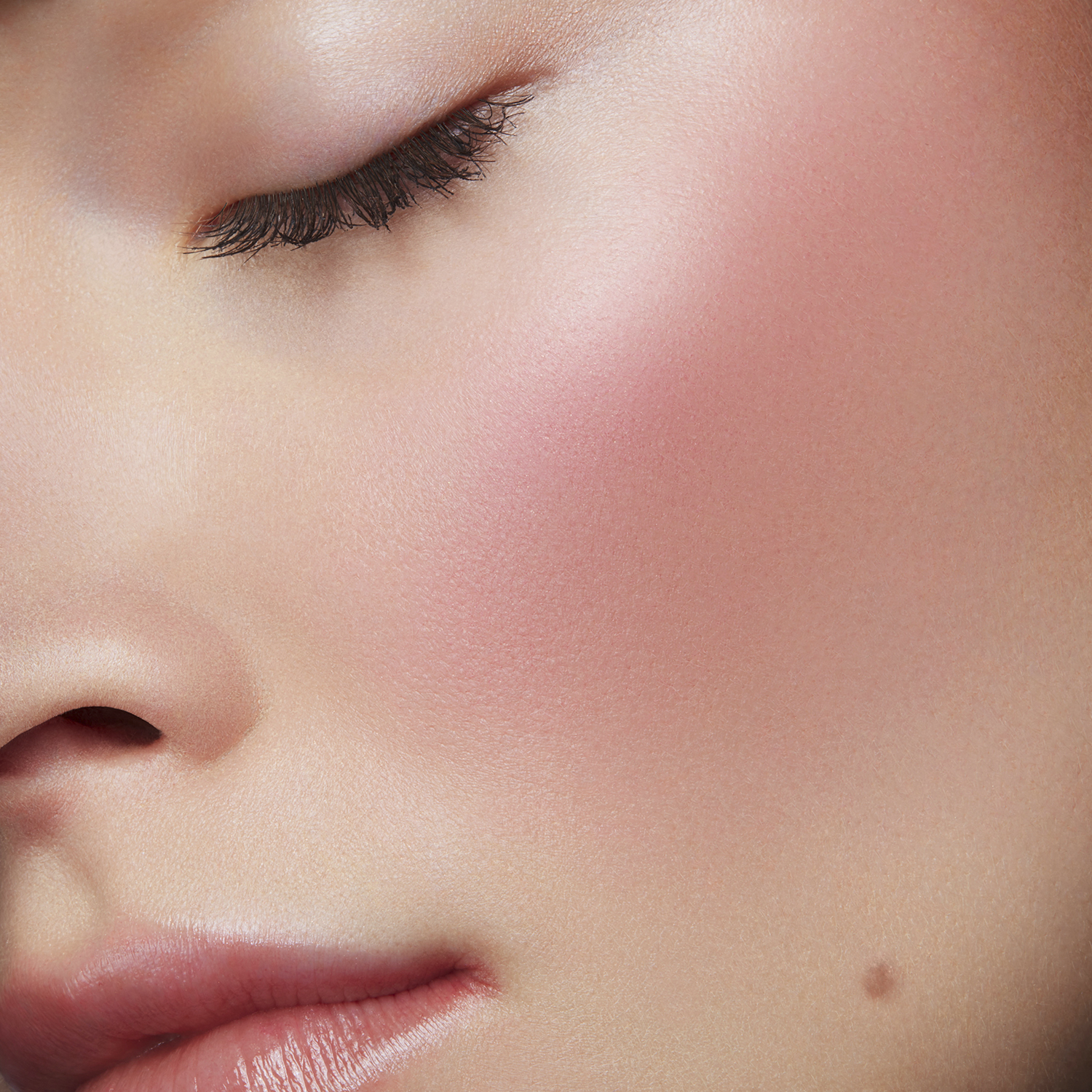 BLUSH SUBTIL RENO (RUBOR DE MEJILLAS)
